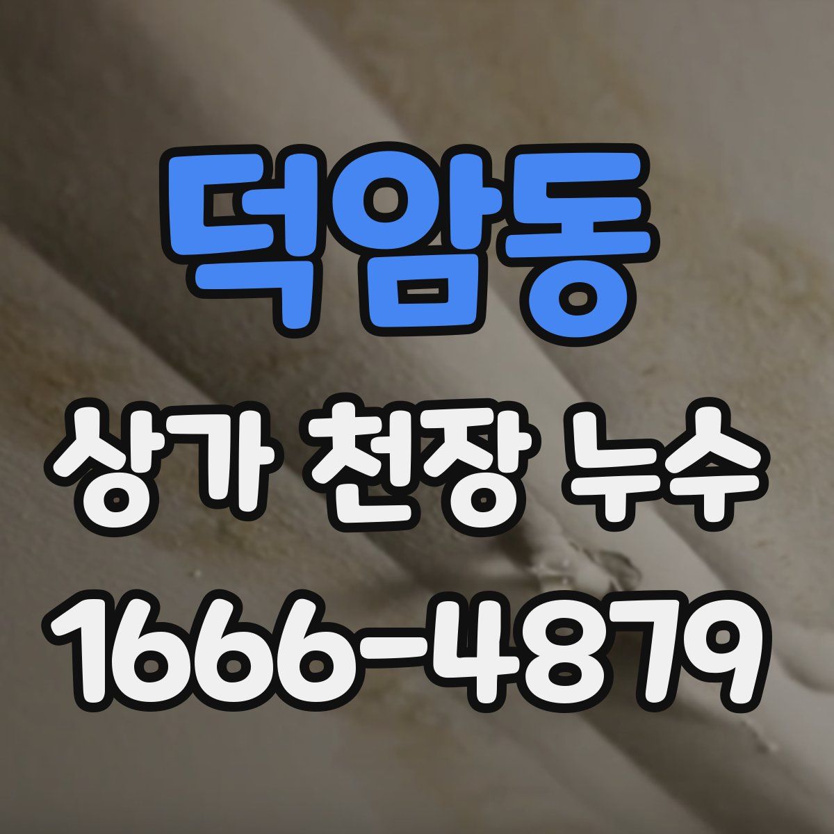 덕암동 상가 천장 누수