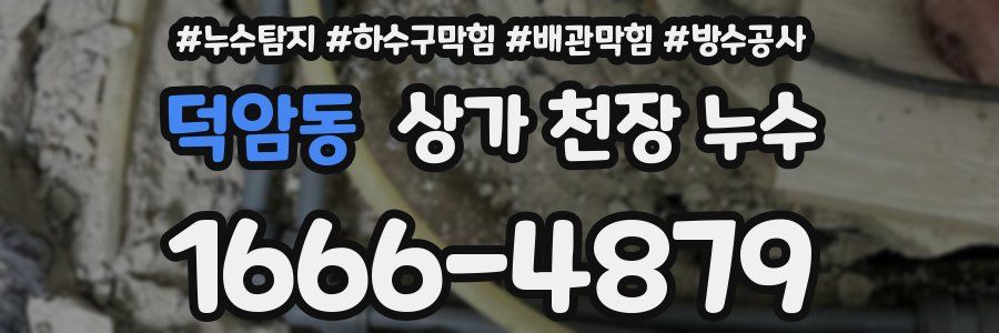 덕암동 상가 천장 누수