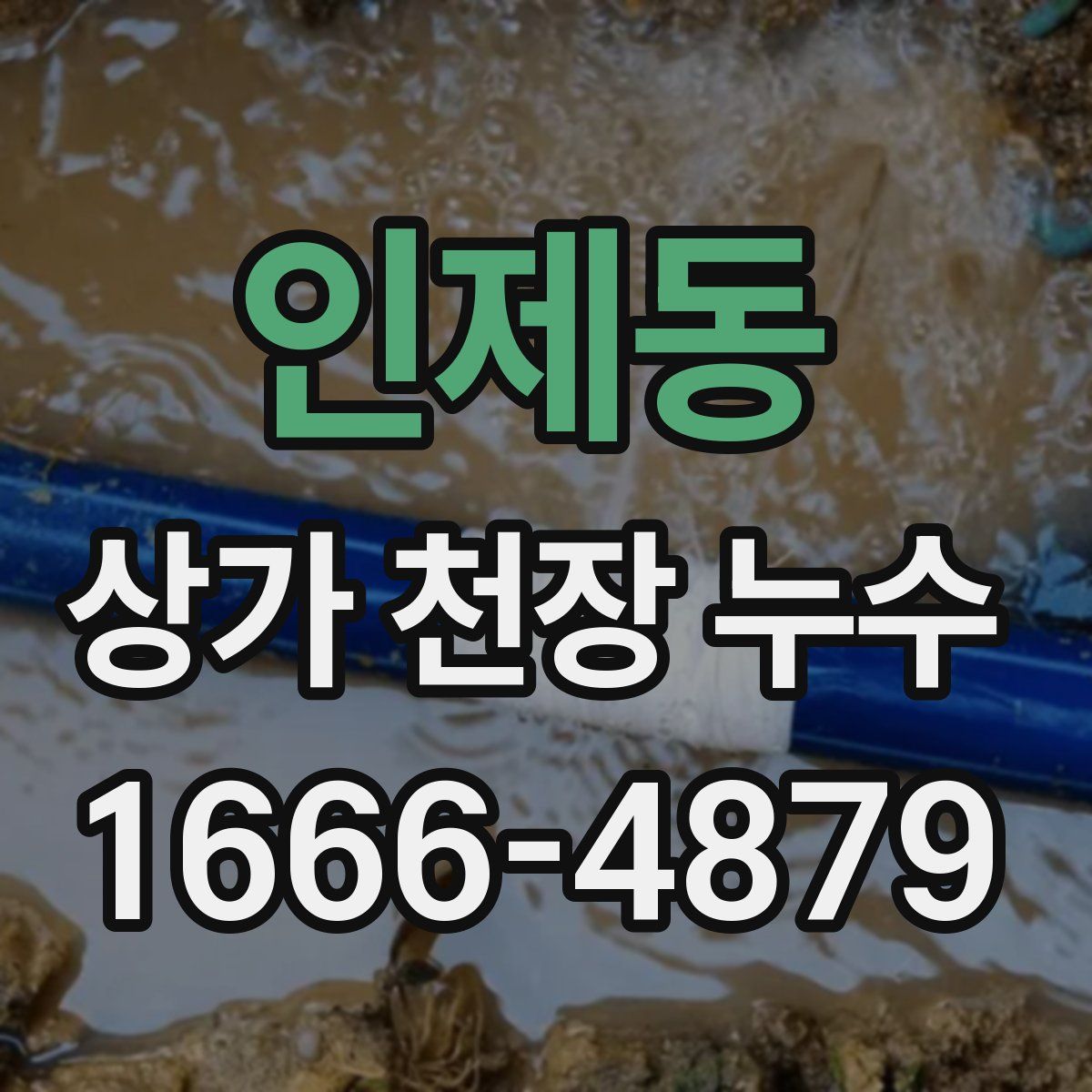 인제동 상가 천장 누수