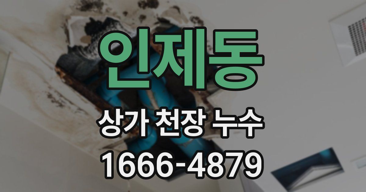 인제동 상가 천장 누수