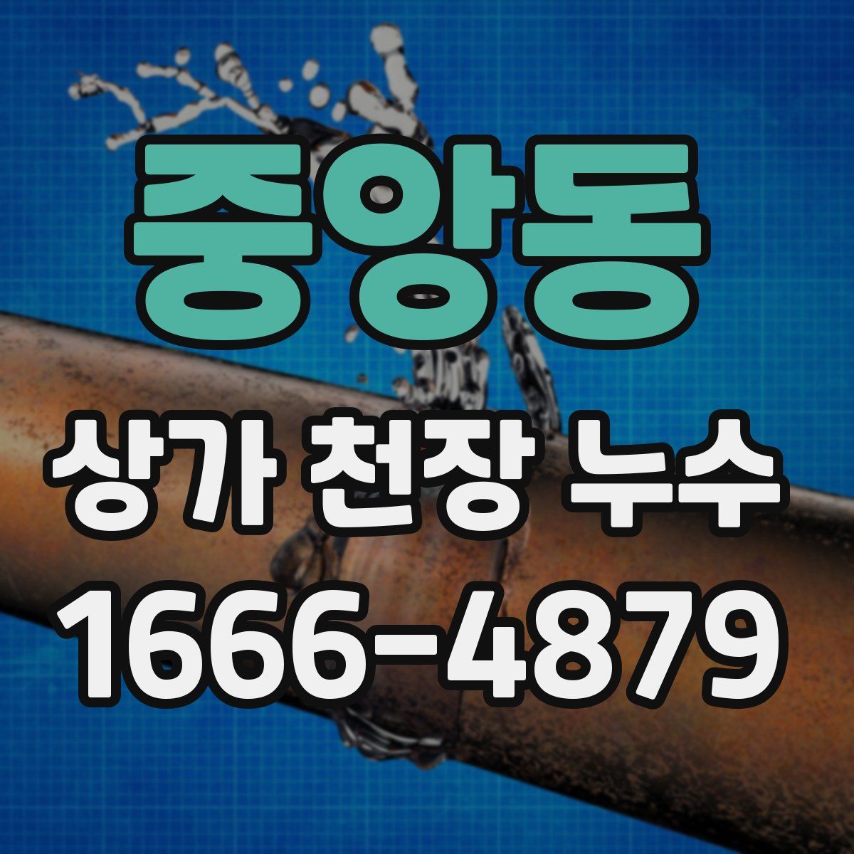 중앙동 상가 천장 누수