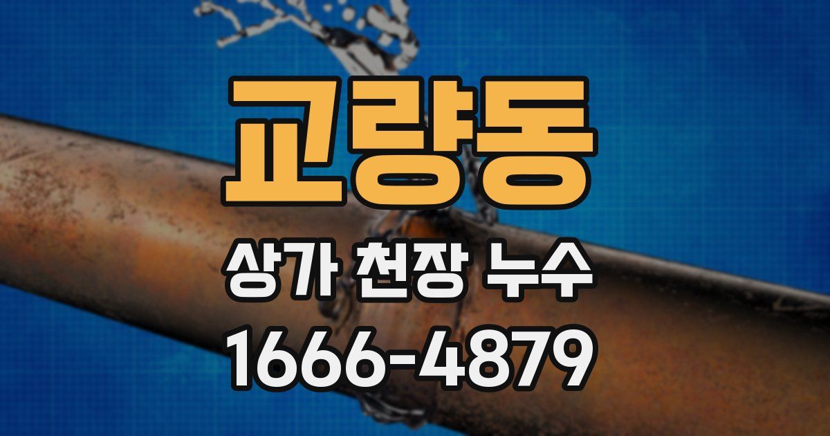 교량동 상가 천장 누수