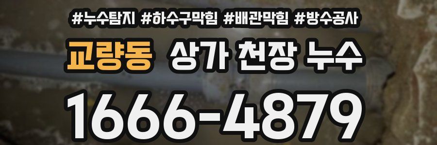 교량동 상가 천장 누수