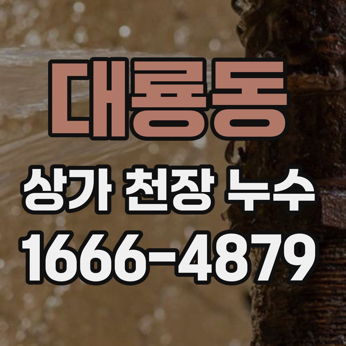 대룡동 상가 천장 누수