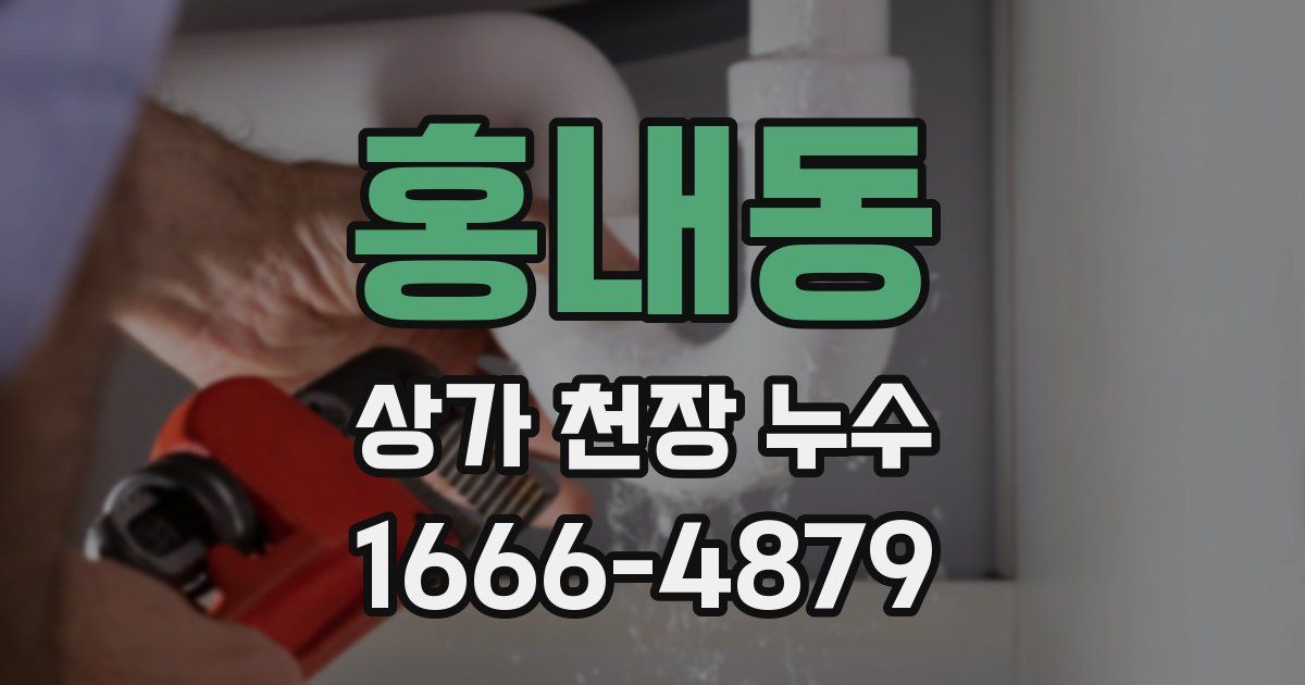 홍내동 상가 천장 누수