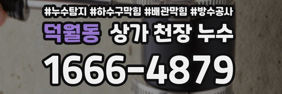 덕월동 상가 천장 누수