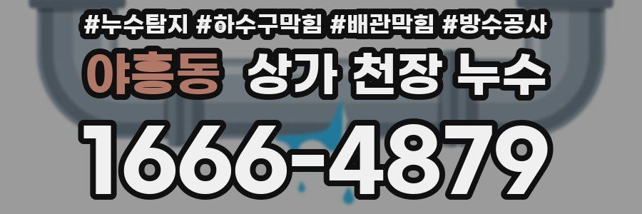 야흥동 상가 천장 누수