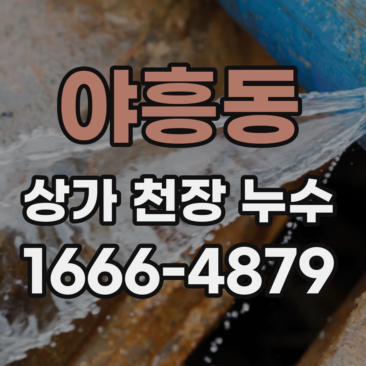 야흥동 상가 천장 누수