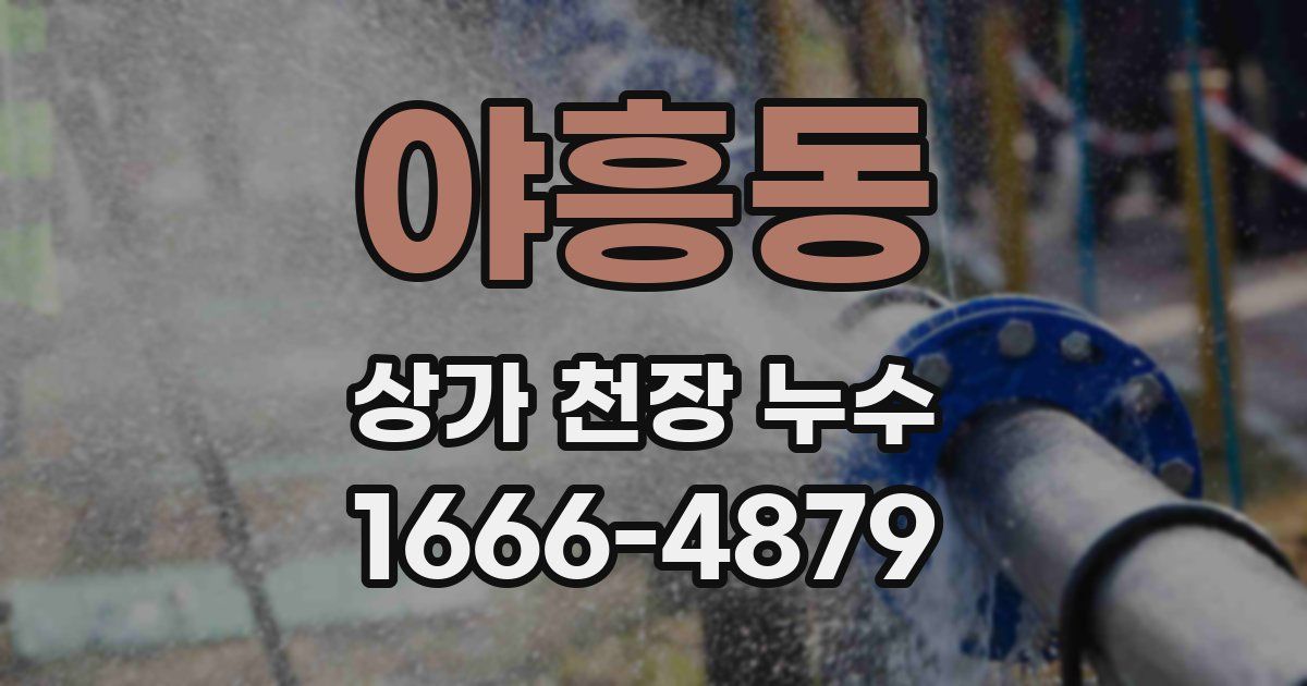 야흥동 상가 천장 누수