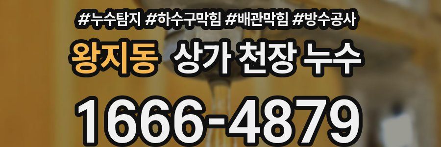 왕지동 상가 천장 누수