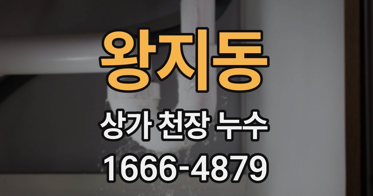 왕지동 상가 천장 누수
