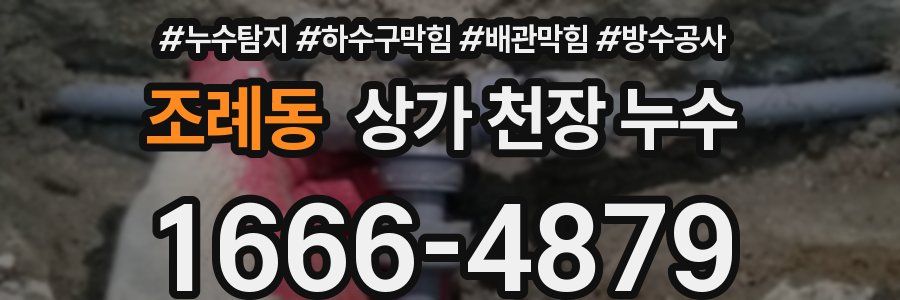 조례동 상가 천장 누수