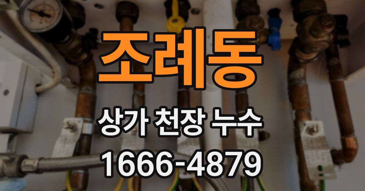 조례동 상가 천장 누수