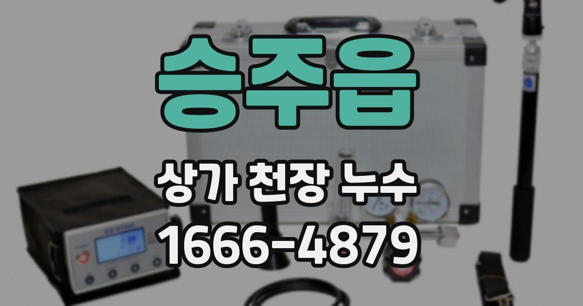 승주읍 상가 천장 누수