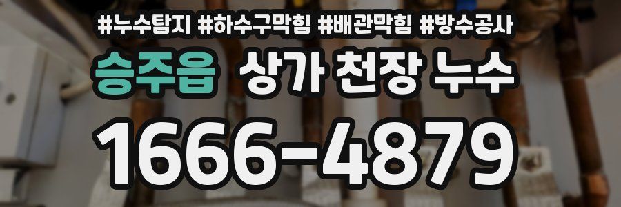 승주읍 상가 천장 누수