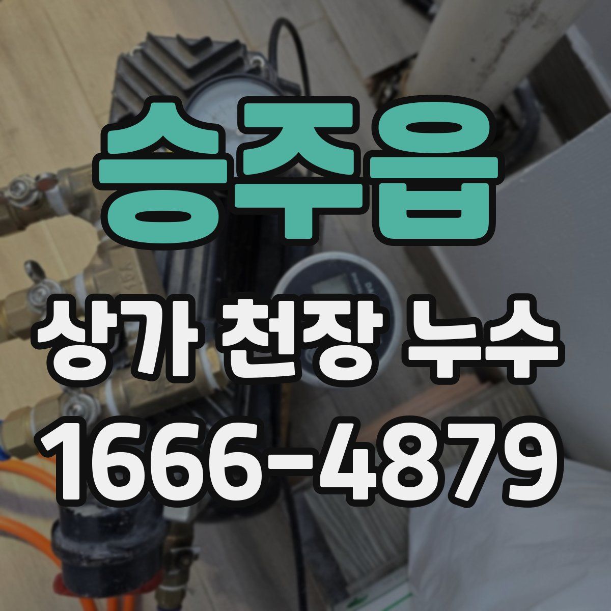 승주읍 상가 천장 누수