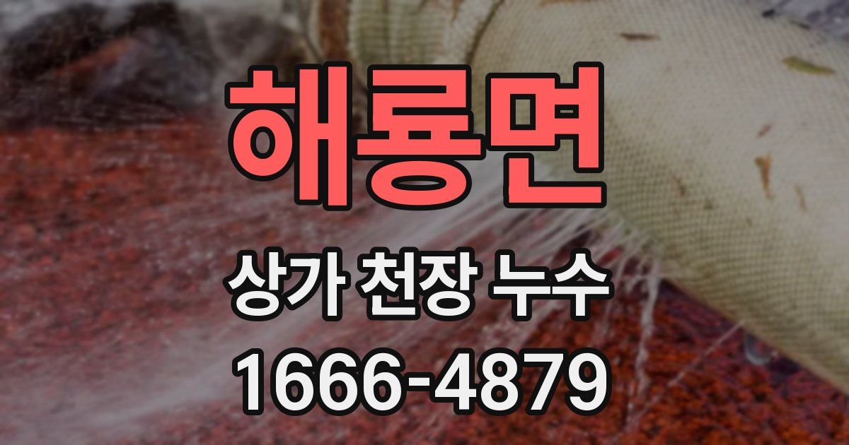 해룡면 상가 천장 누수