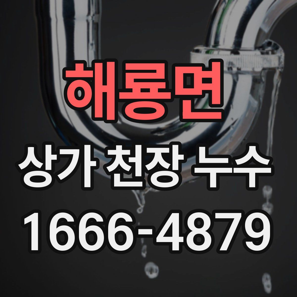 해룡면 상가 천장 누수