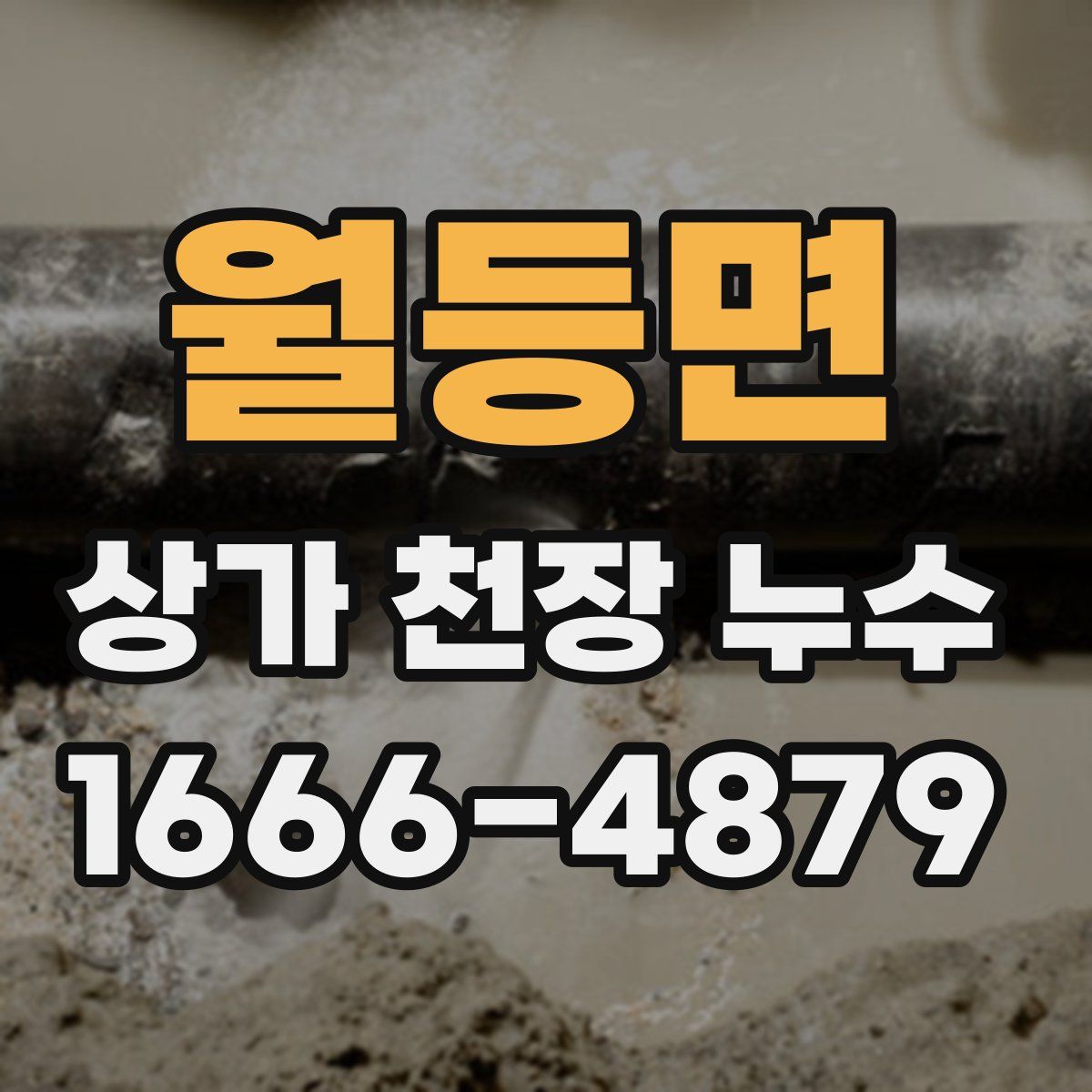 월등면 상가 천장 누수