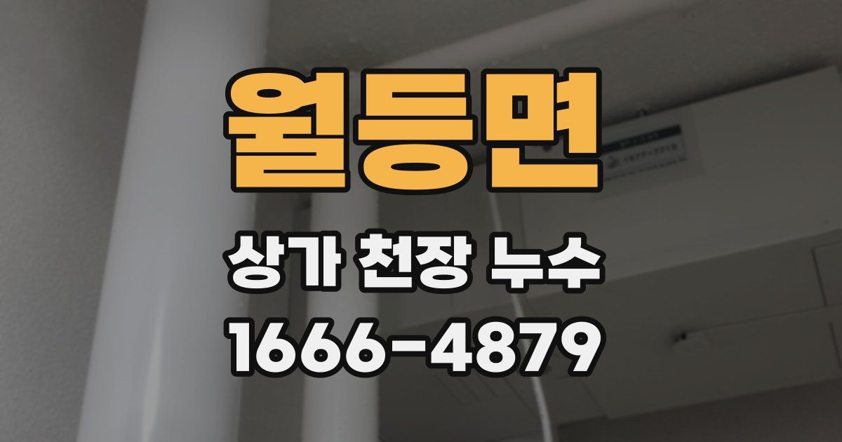월등면 상가 천장 누수