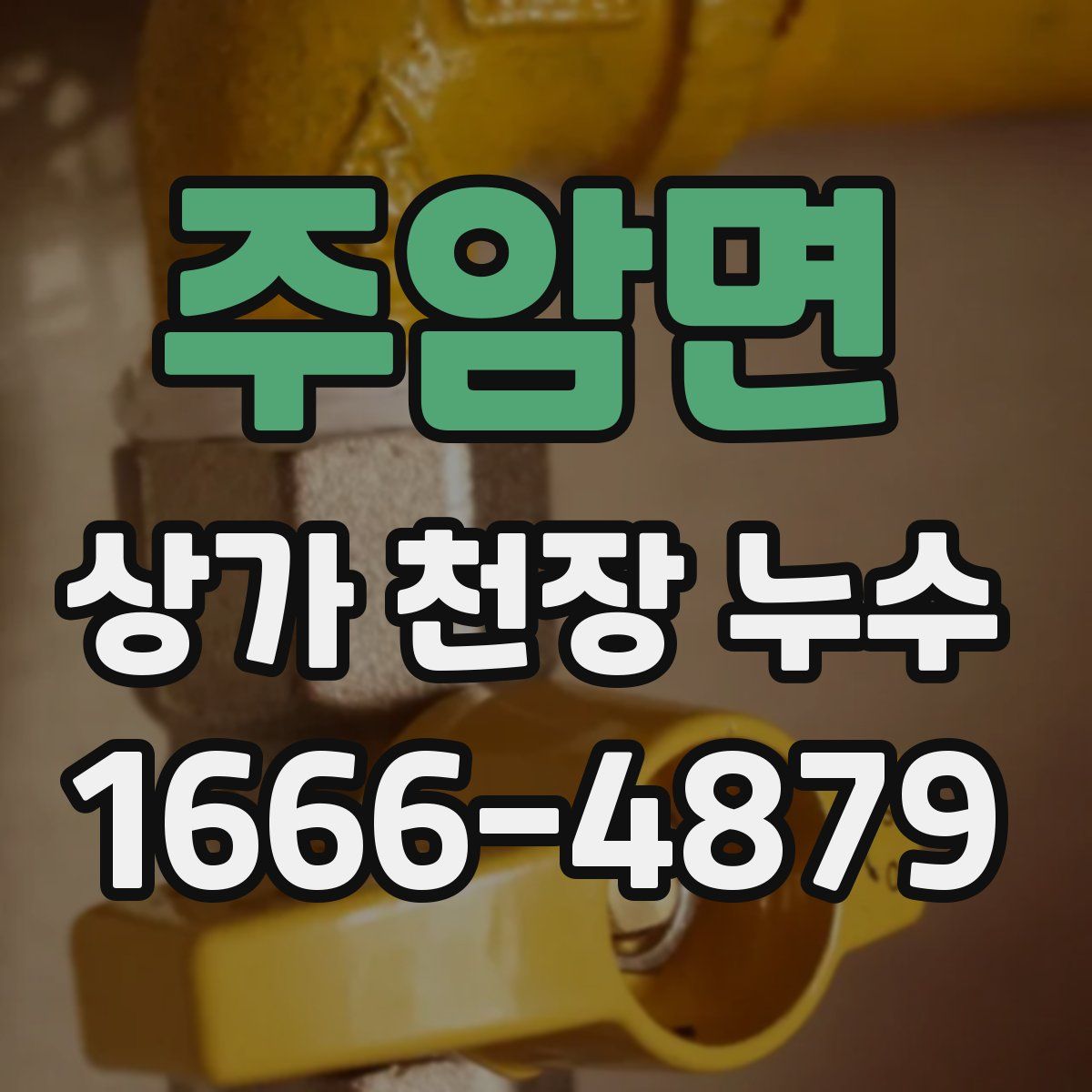 주암면 상가 천장 누수