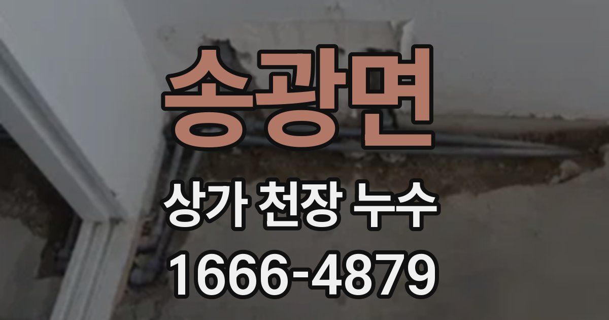 송광면 상가 천장 누수
