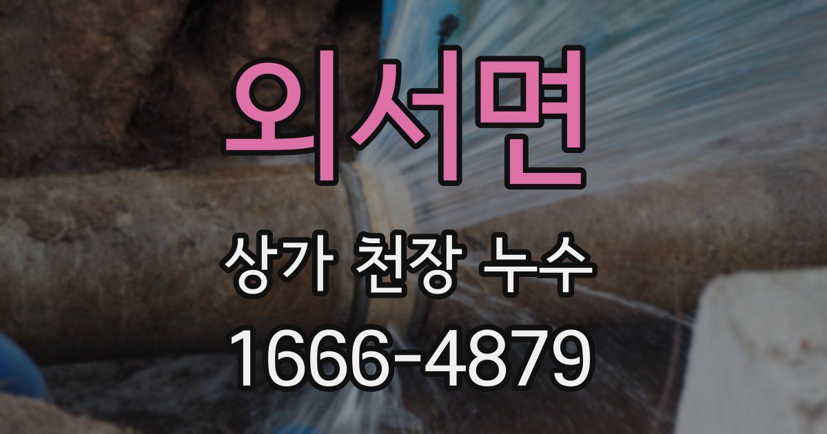외서면 상가 천장 누수