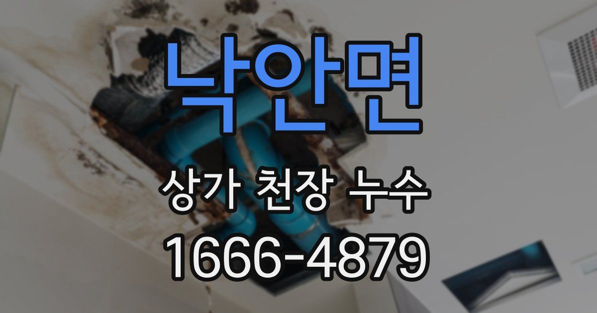 낙안면 상가 천장 누수