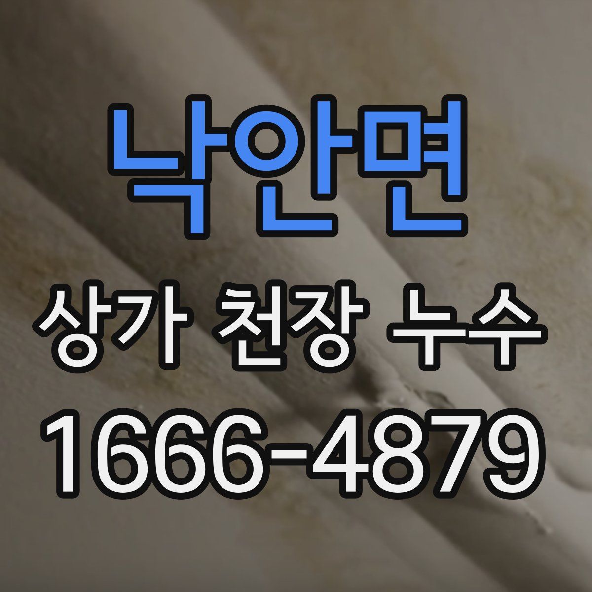 낙안면 상가 천장 누수