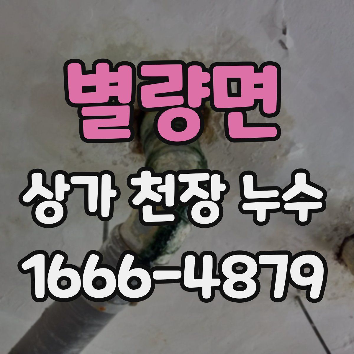 별량면 상가 천장 누수