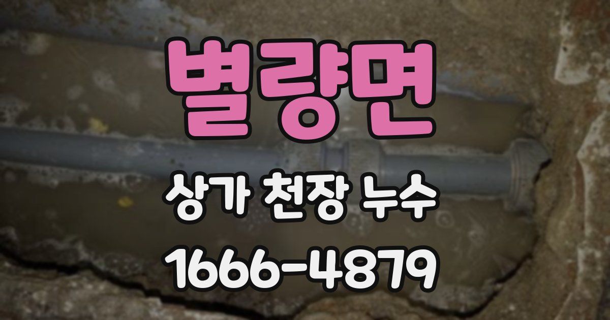 별량면 상가 천장 누수