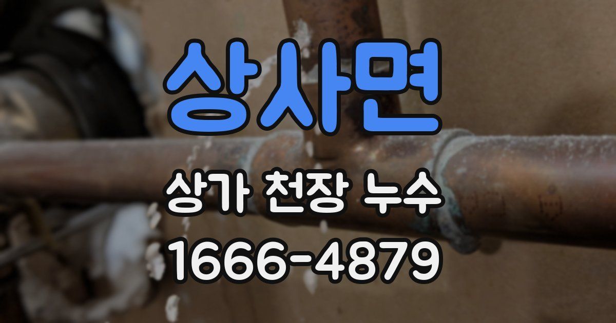 상사면 상가 천장 누수