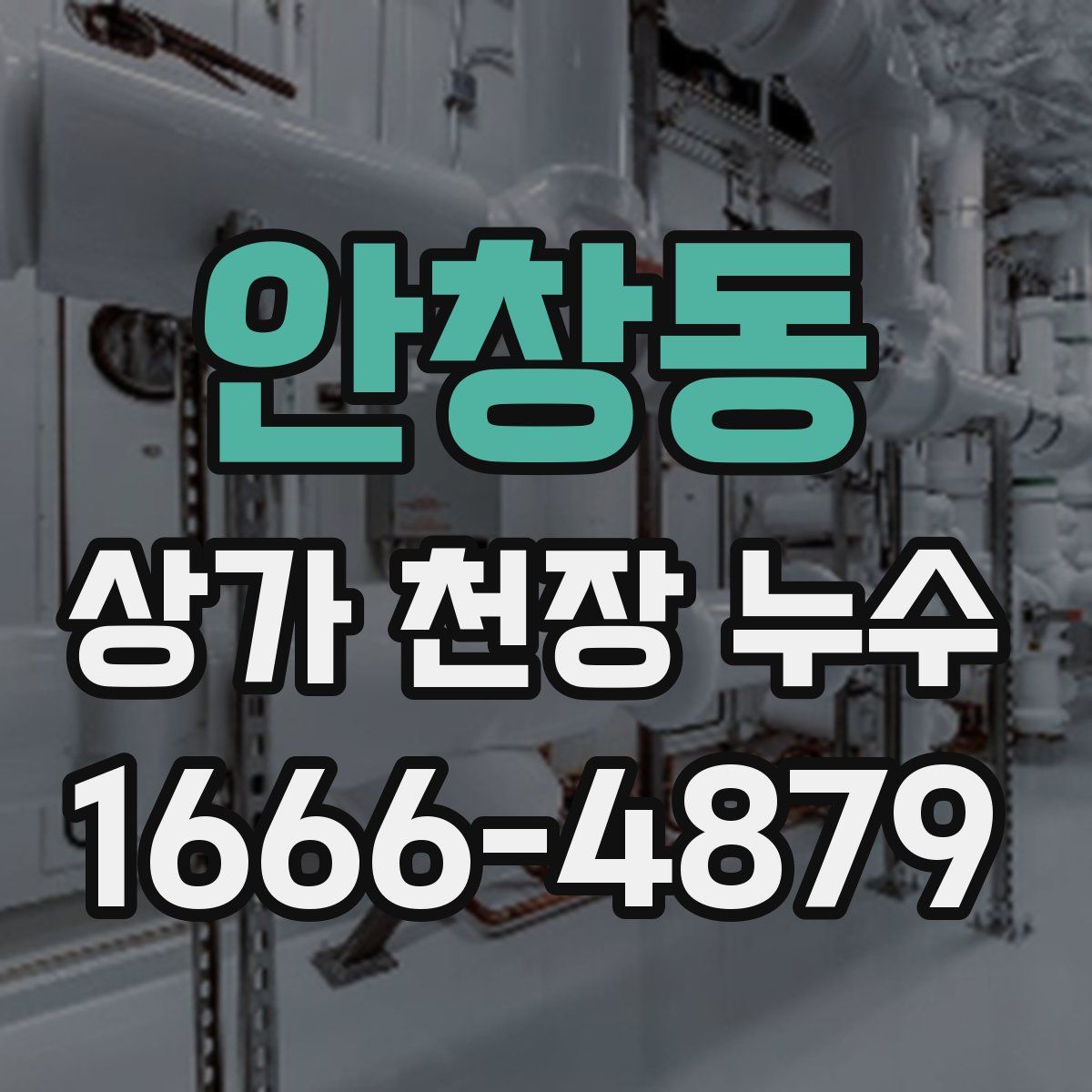 안창동 상가 천장 누수