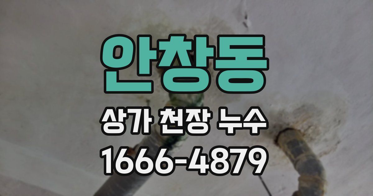 안창동 상가 천장 누수