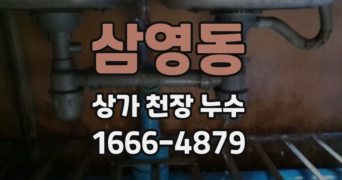 삼영동 상가 천장 누수