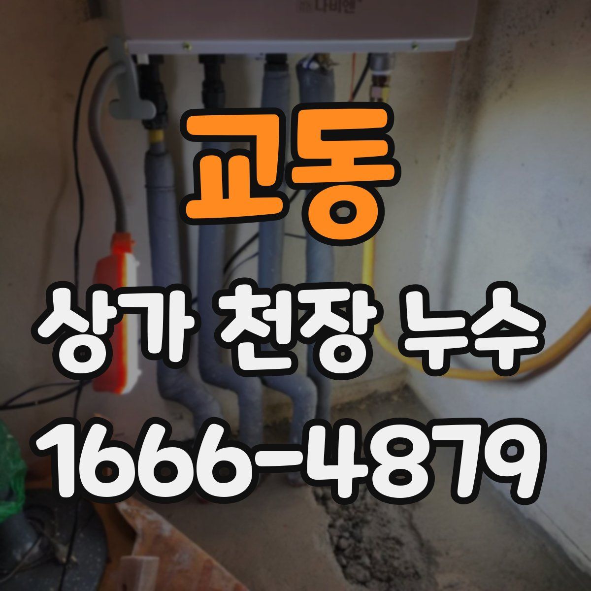 교동 상가 천장 누수