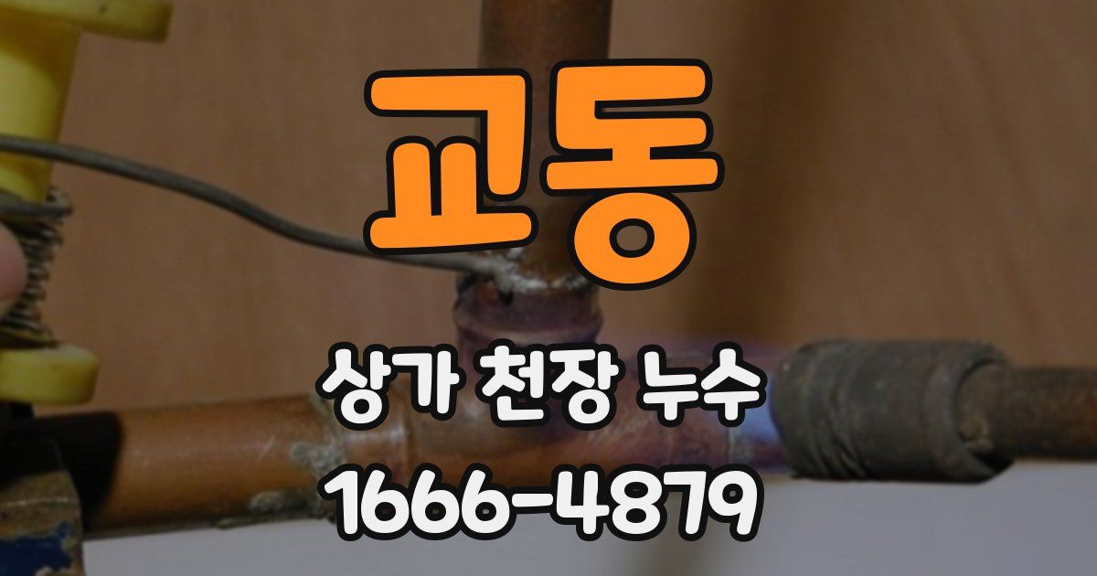 교동 상가 천장 누수