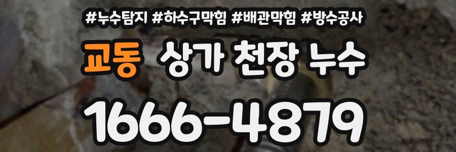 교동 상가 천장 누수