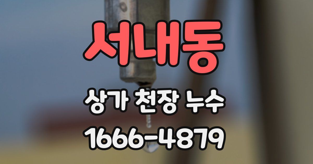 서내동 상가 천장 누수