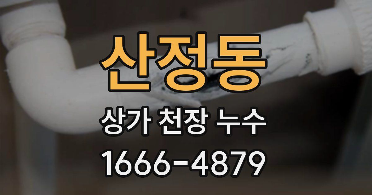 산정동 상가 천장 누수