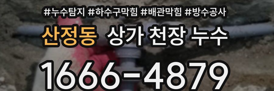 산정동 상가 천장 누수