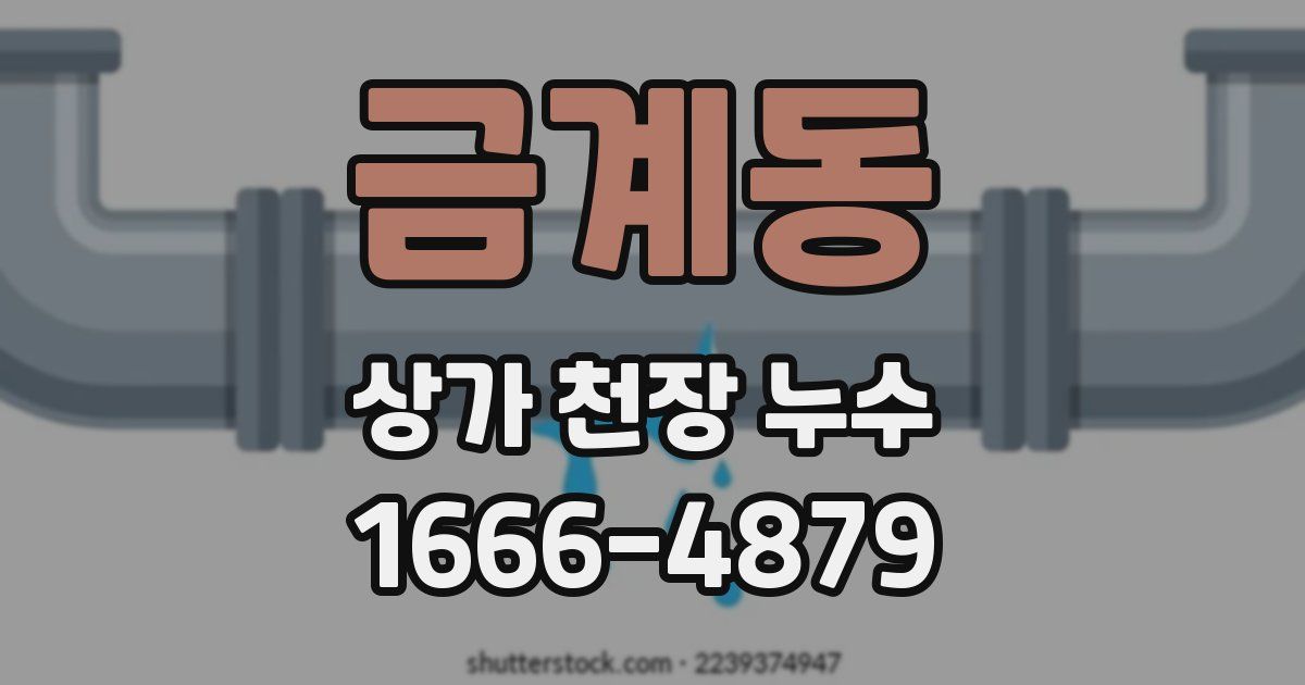 금계동 상가 천장 누수