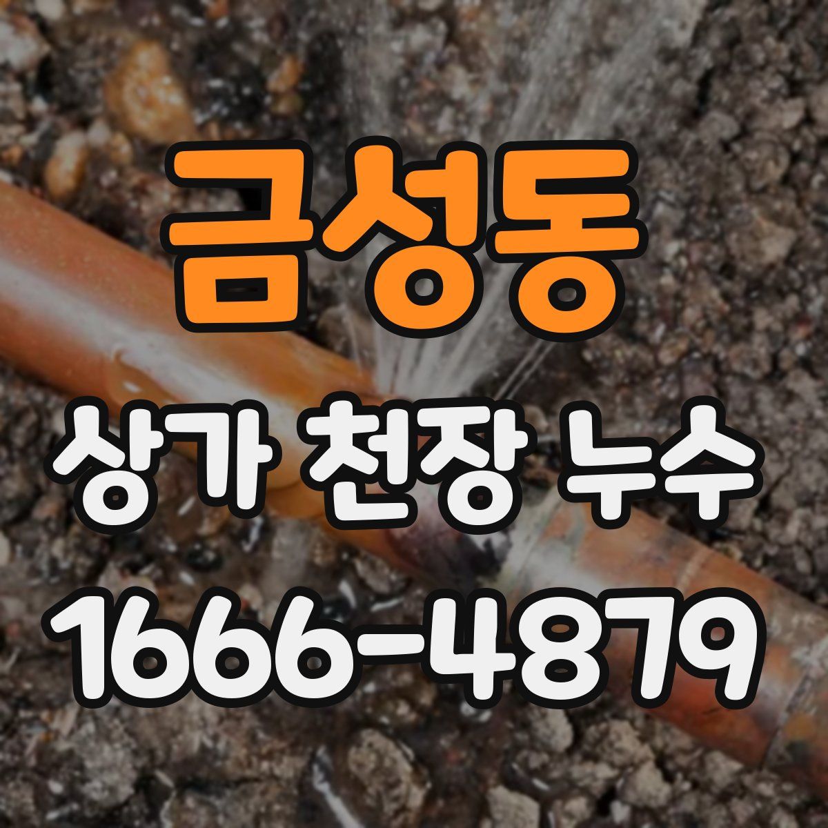 금성동 상가 천장 누수