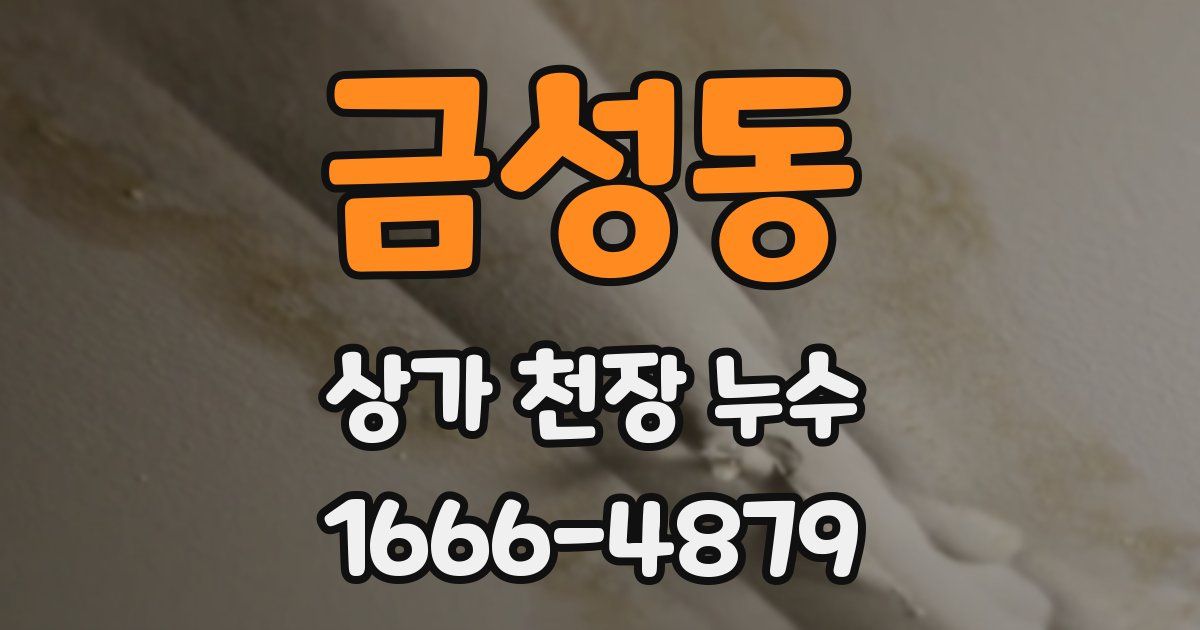 금성동 상가 천장 누수