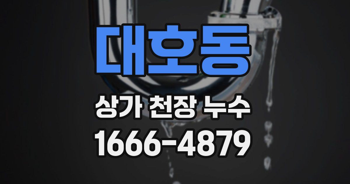 대호동 상가 천장 누수