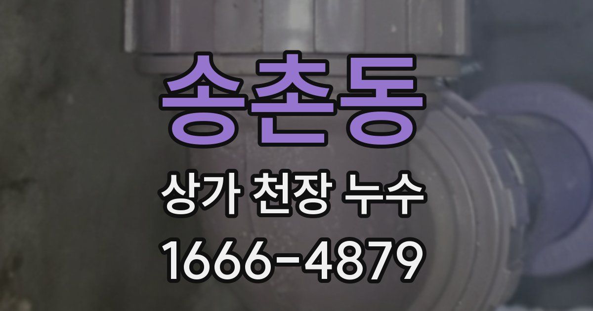 송촌동 상가 천장 누수