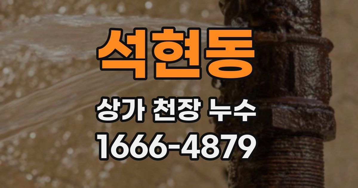 석현동 상가 천장 누수