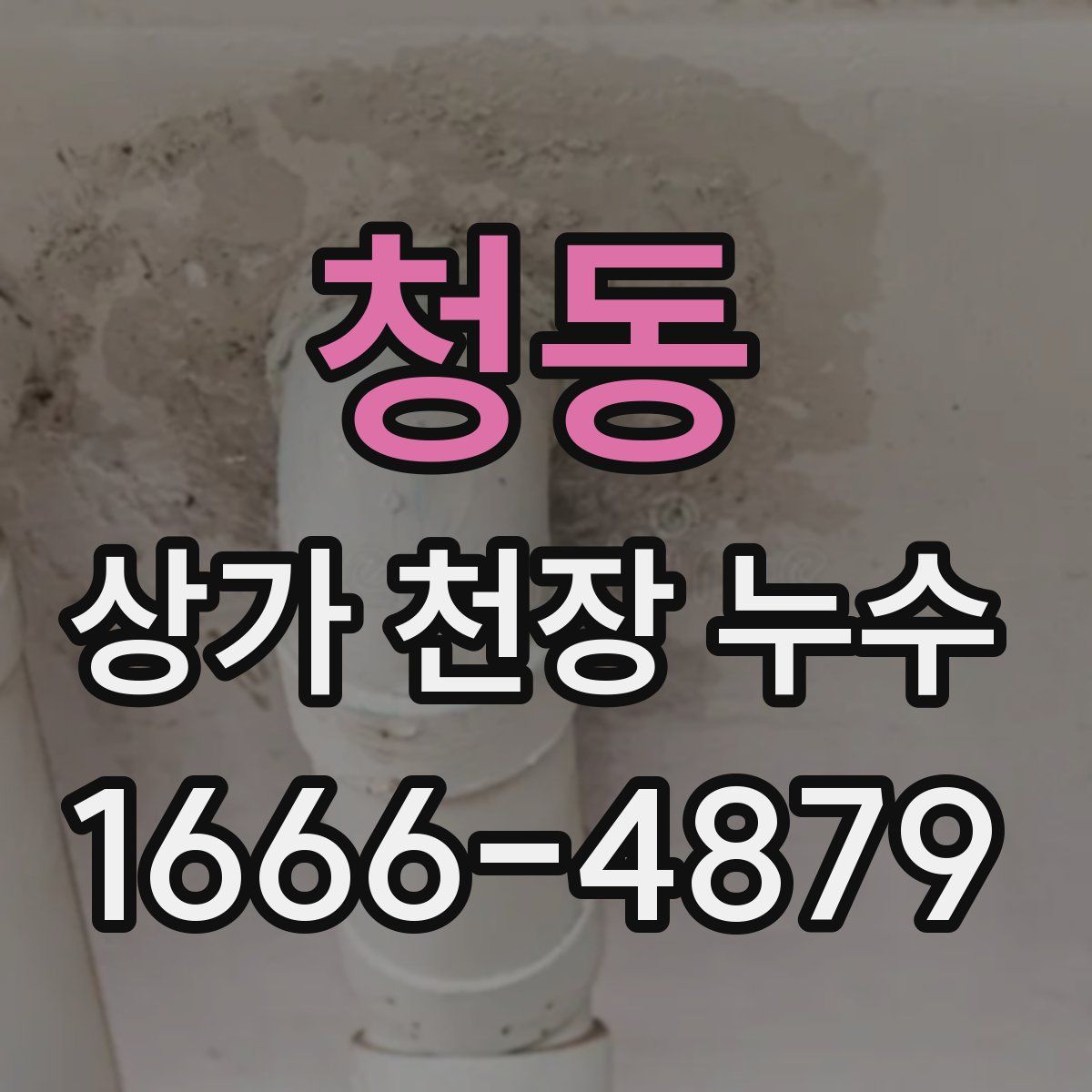 청동 상가 천장 누수