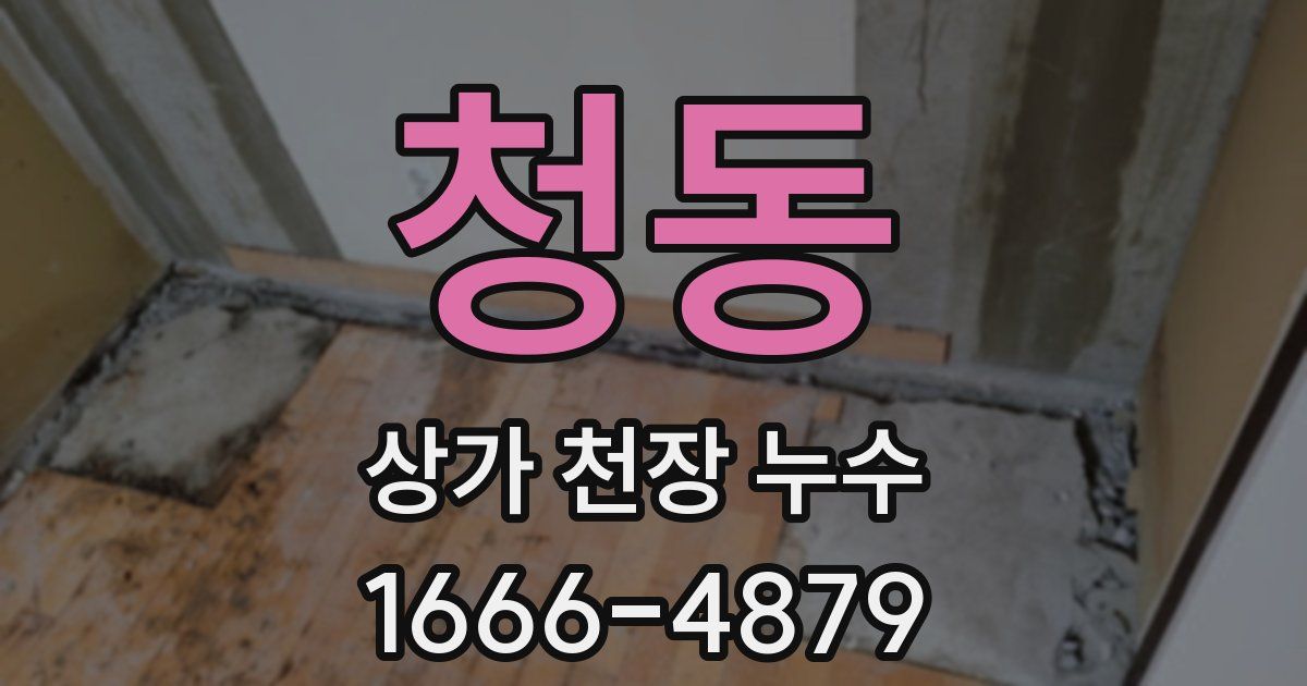 청동 상가 천장 누수