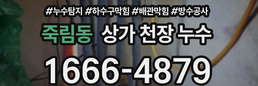 죽림동 상가 천장 누수